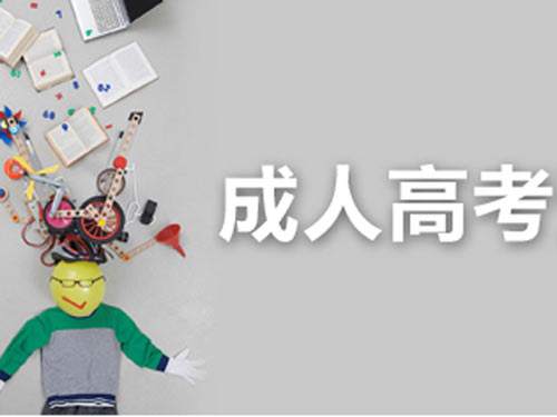 云南成考去哪里報(bào)名
