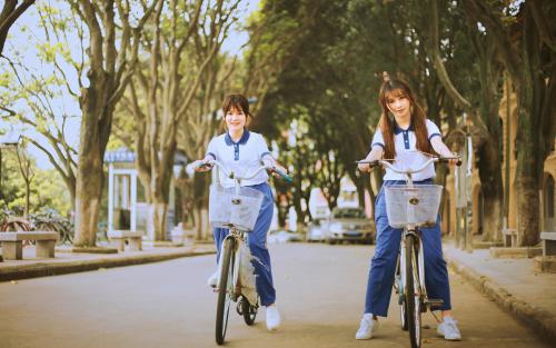 云南大學成人高考
