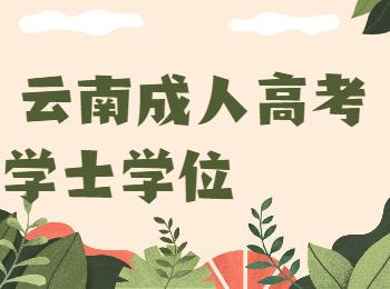 云南成人高考學(xué)士學(xué)位