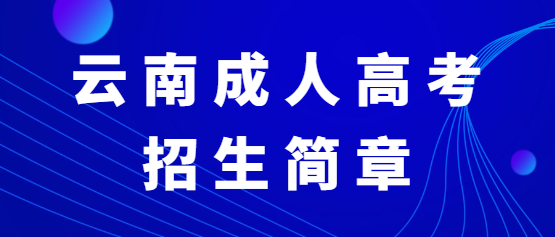 2021年云南文化藝術職業學院成人高考招生簡章
