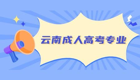 云南成人高考專業(yè)