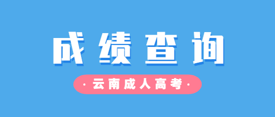 2021年云南成人高考成績查詢入口