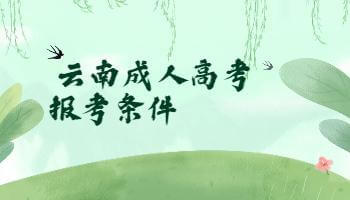 云南成考?？茍竺? height=