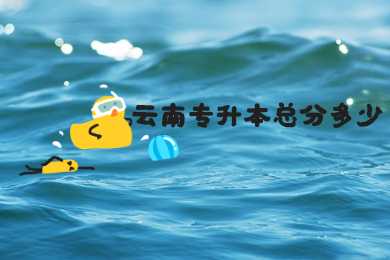 云南專升本