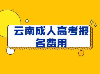 云南成人高考