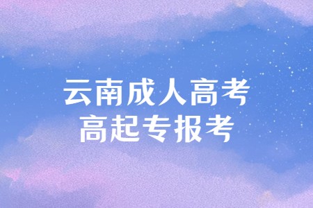 云南成人高考高起專報(bào)考