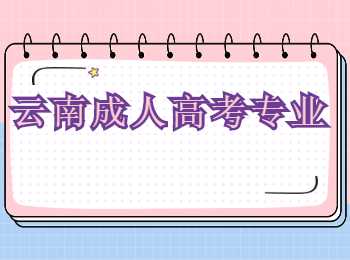 云南成人高考專業