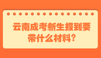 云南成考新生報(bào)到