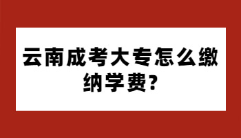 云南成考大專怎么繳納學費