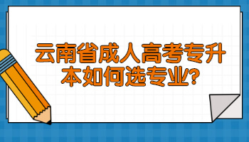 云南省成人高考專升本