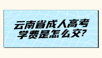 云南省成人高考學(xué)費(fèi)