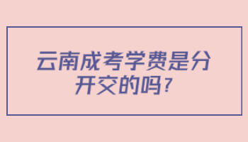 云南成考學費