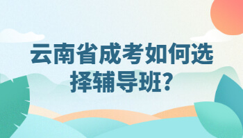 云南省成考如何選擇輔導班