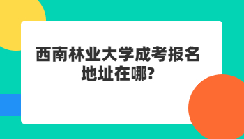 西南林業大學成考報名