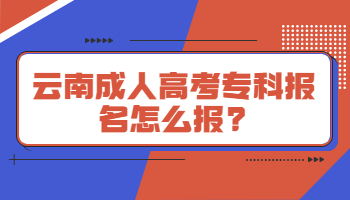 云南成人高考?？茍?bào)名