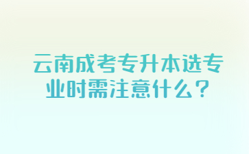 云南成考專升本選專業(yè)