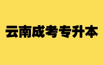 2024年云南成考專升本可以跨專業嗎？