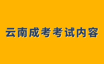 2024年云南成人高考考試內容說明