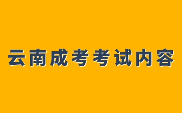 2024年云南成考考試大綱內容分析