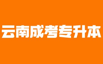 2024年云南省成人高考專(zhuān)升本有哪些優(yōu)勢(shì)?