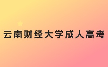 2024年云南財經大學成人高考錄取后可以換專業嗎？