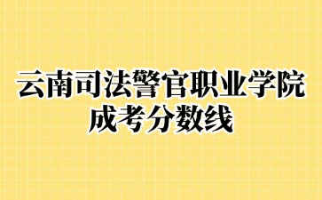 2024年云南經(jīng)濟管理學院成考報名入口
